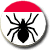 web